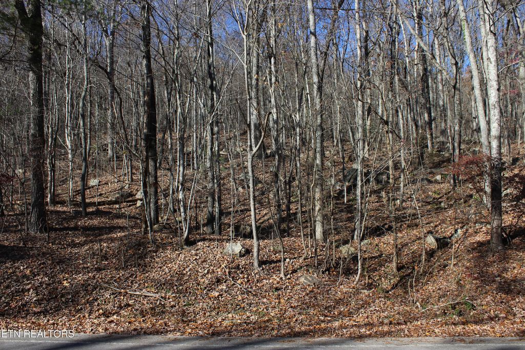 Photo of Scenic Dr, Lot 20, Harriman, TN 37748 (MLS # 1284294)