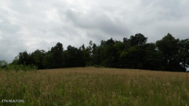 51.30ac Livingston Hwy