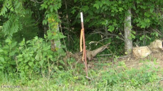 51.30ac Livingston Hwy