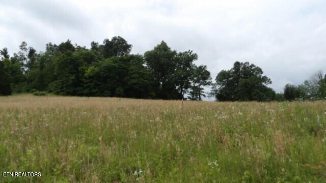 51.30ac Livingston Hwy