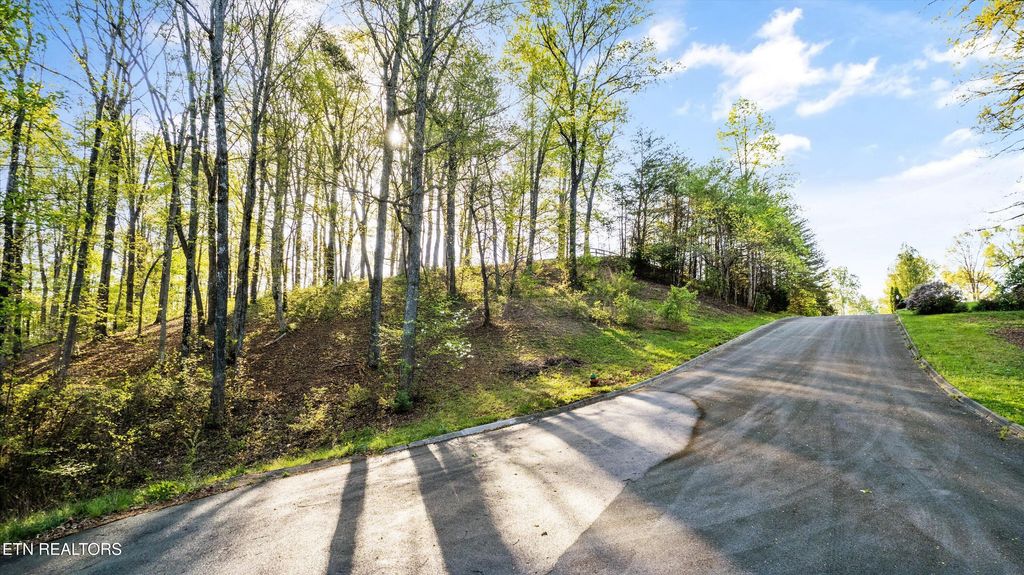 Photo of 39 Apple Tree Drive, Clinton, TN 37716 (MLS # 1307792)