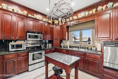 Tiny photo for 230 Big Water Drive, Vonore, TN 37885 (MLS # 1321840)