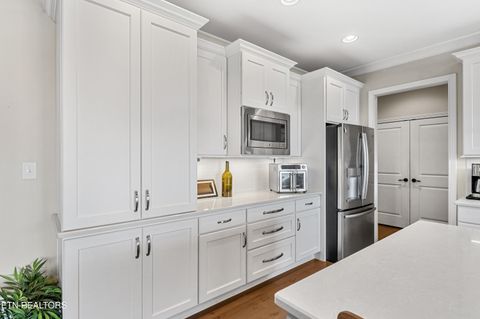 Tiny photo for 275 Hummingbird Drive, Vonore, TN 37885 (MLS # 1321228)