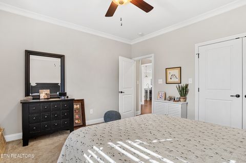 Tiny photo for 275 Hummingbird Drive, Vonore, TN 37885 (MLS # 1321228)