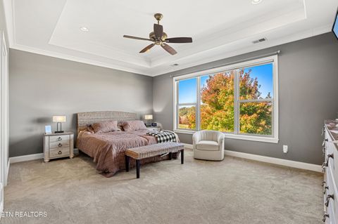 Tiny photo for 275 Hummingbird Drive, Vonore, TN 37885 (MLS # 1321228)