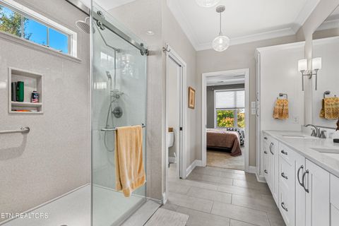 Tiny photo for 275 Hummingbird Drive, Vonore, TN 37885 (MLS # 1321228)