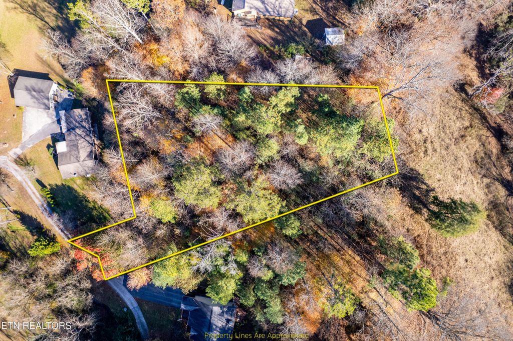 Photo of W Millers Cove Rd, Walland, TN 37886 (MLS # 1322349)