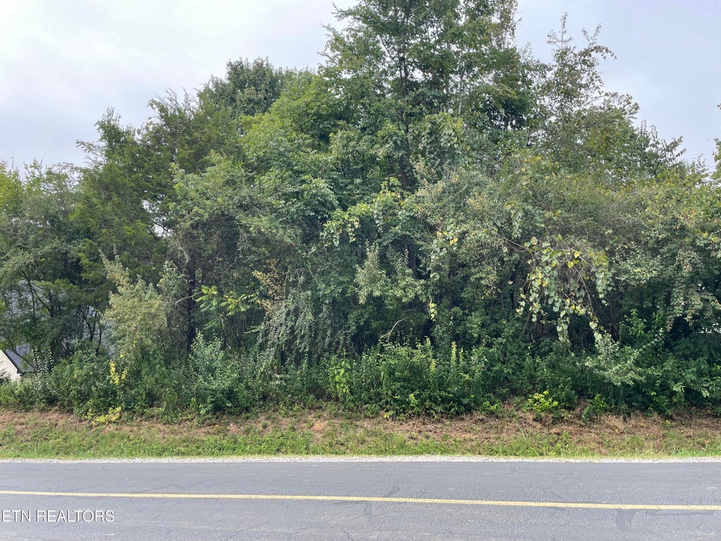 Photo of 273 Ootsima Way, Loudon, TN 37774 (MLS # 1353197)