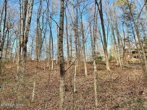Tiny photo for 30 N Highland Drive, Gatlinburg, TN 37738 (MLS # 1329041)