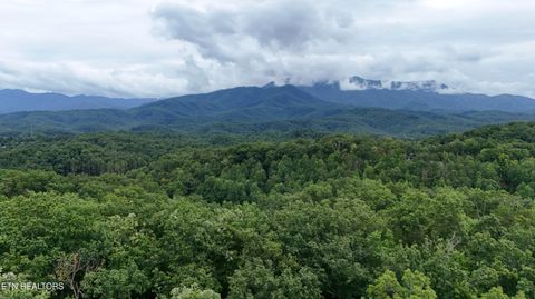Photo of 30 N Highland Drive, Gatlinburg, TN 37738 (MLS # 1329041)