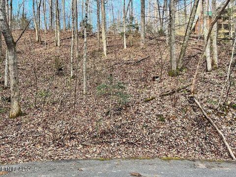 Tiny photo for 30 N Highland Drive, Gatlinburg, TN 37738 (MLS # 1329041)