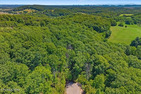 Tiny photo for 00 Poplar Lot 32 Drive, Sweetwater, TN 37874 (MLS # 1340244)