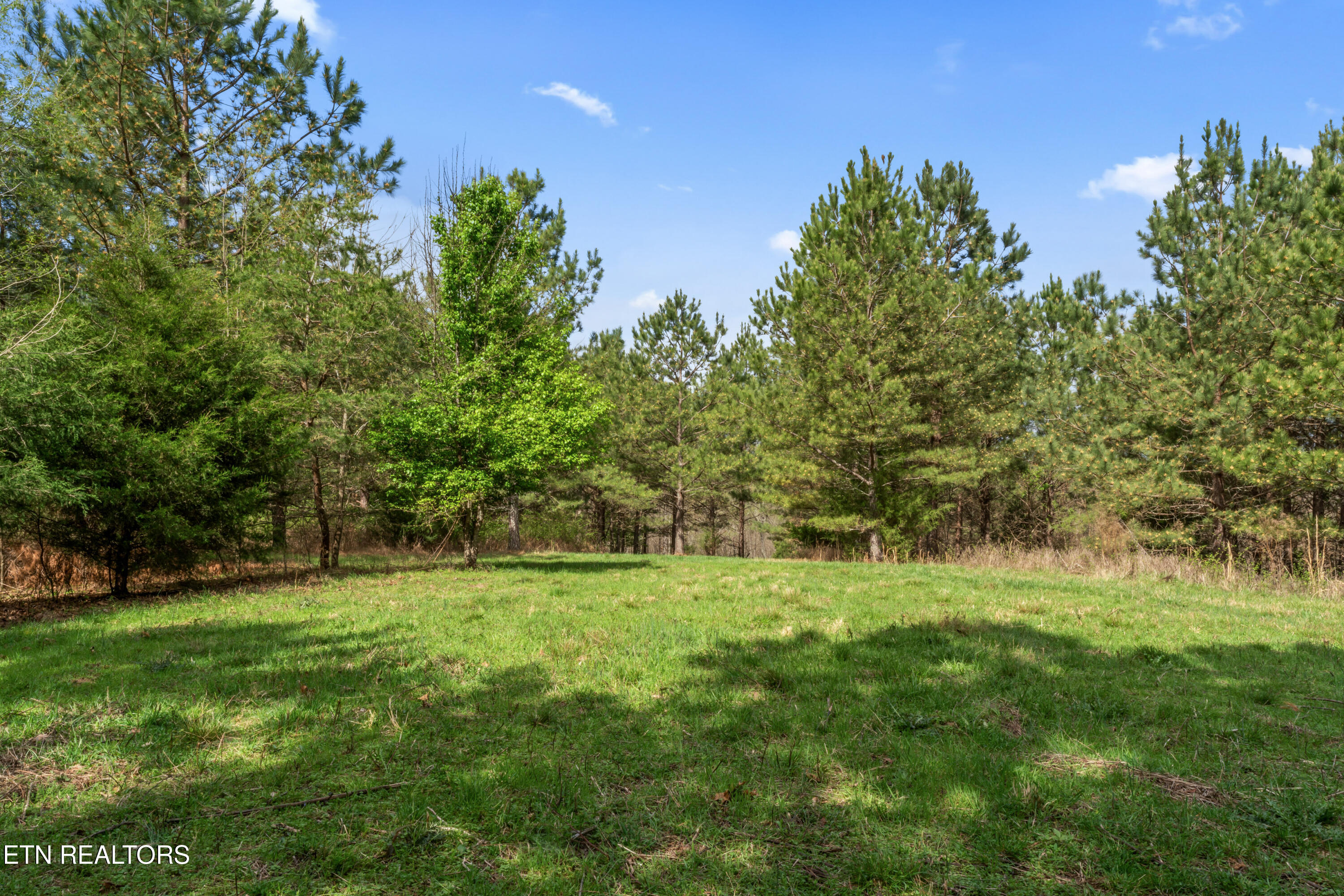 365 Pattie Gap Rd