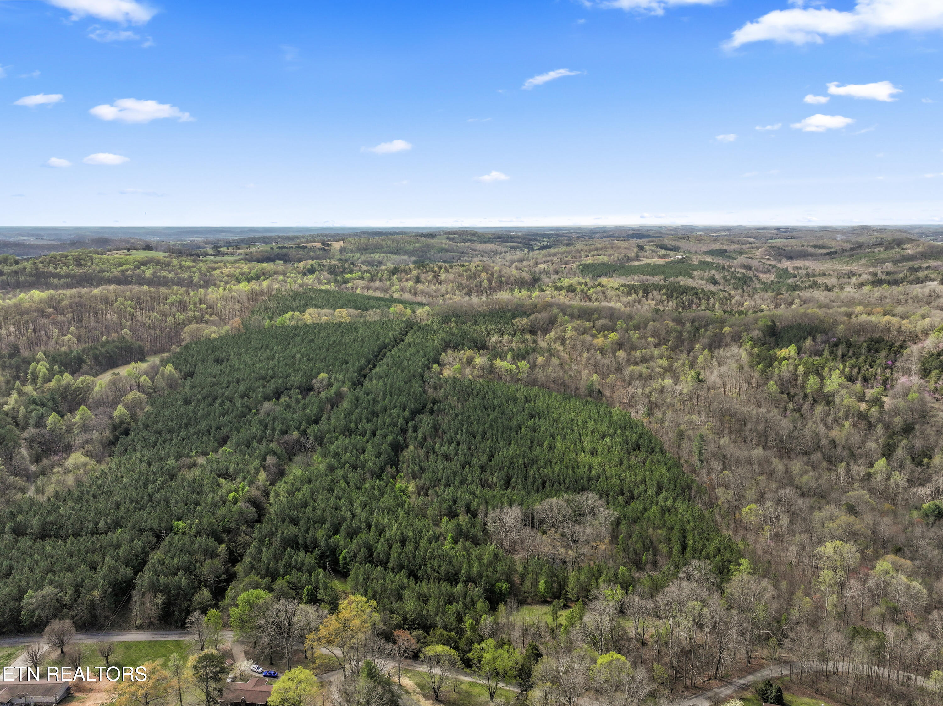 365 Pattie Gap Rd