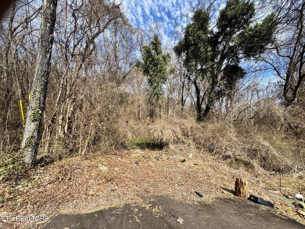 Photo of 901905 Texas Ave, Knoxville, TN 37921 (MLS # 1329657)