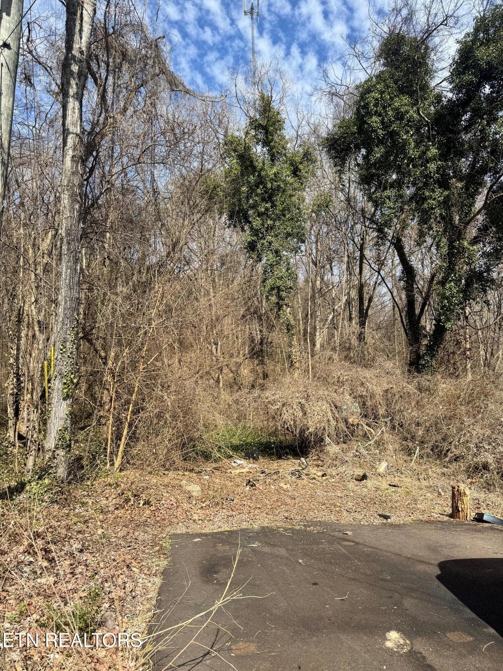 Photo of 901905 Texas Ave, Knoxville, TN 37921 (MLS # 1329657)