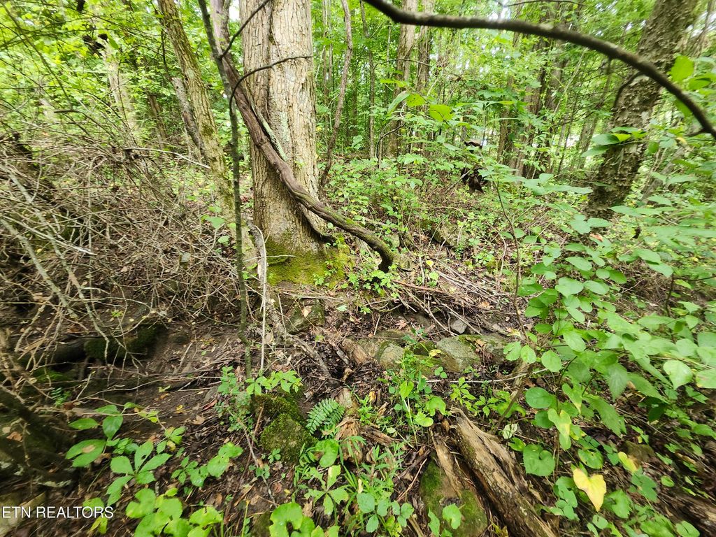 Photo of 1 Timber Lake Drive, Cosby, TN 37722 (MLS # 1311818)