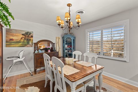 Tiny photo for 1076 Gay St, Dandridge, TN 37725 (MLS # 1330002)