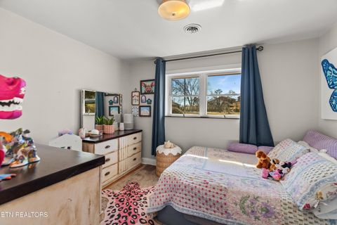 Tiny photo for 1076 Gay St, Dandridge, TN 37725 (MLS # 1330002)