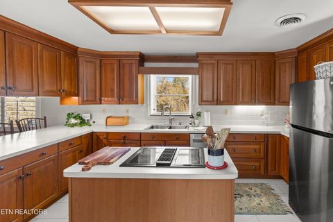 Tiny photo for 1076 Gay St, Dandridge, TN 37725 (MLS # 1330002)