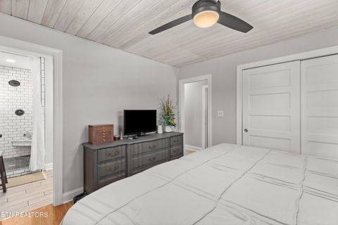 Tiny photo for 1076 Gay St, Dandridge, TN 37725 (MLS # 1330002)