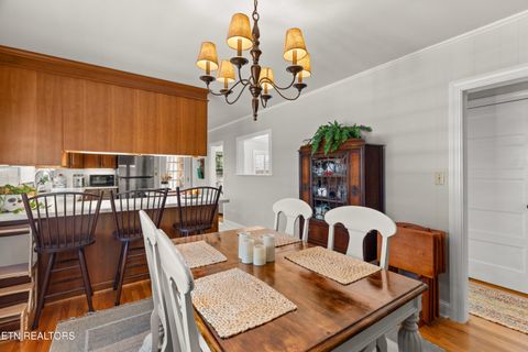 Tiny photo for 1076 Gay St, Dandridge, TN 37725 (MLS # 1330002)