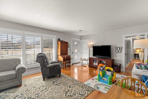 Tiny photo for 1076 Gay St, Dandridge, TN 37725 (MLS # 1330002)