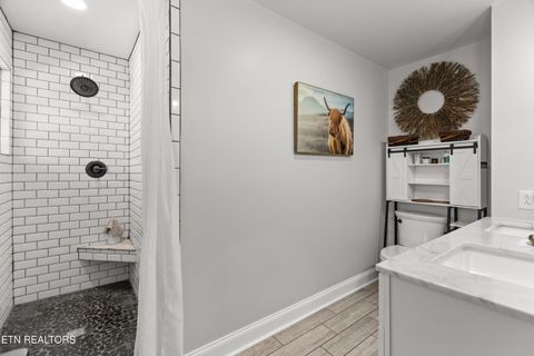 Tiny photo for 1076 Gay St, Dandridge, TN 37725 (MLS # 1330002)