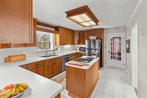 Tiny photo for 1076 Gay St, Dandridge, TN 37725 (MLS # 1330002)