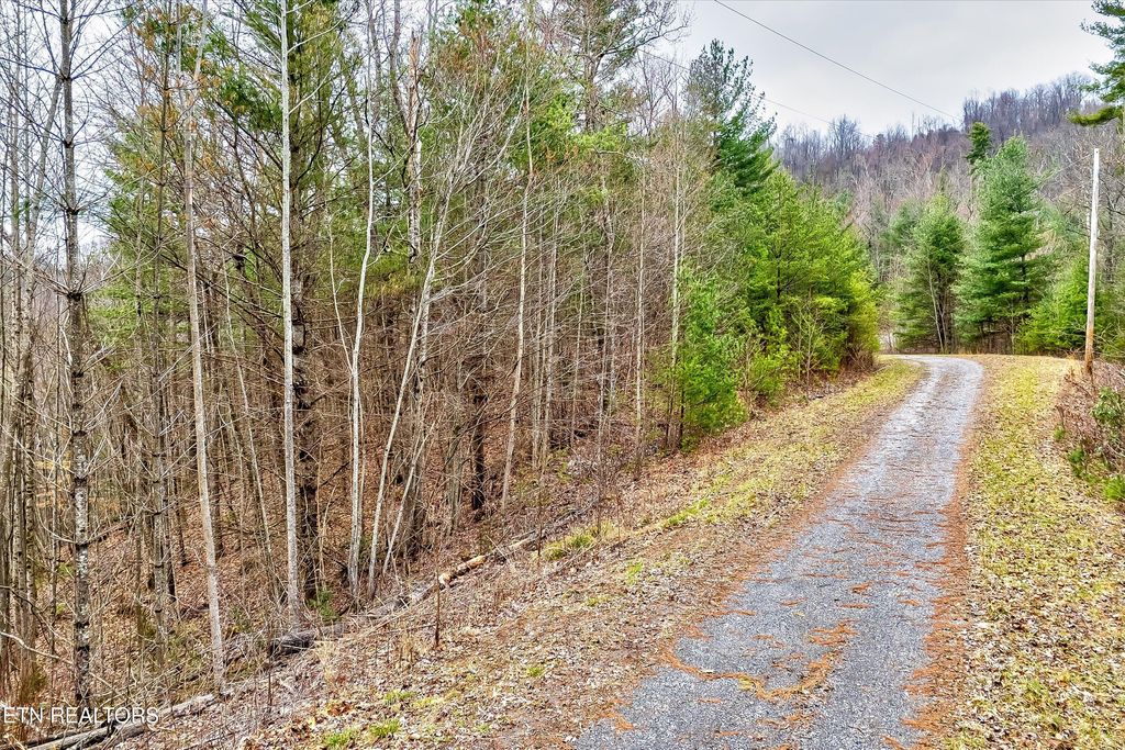 Photo of 41 Black Maple Way, Del Rio, TN 37727 (MLS # 1294179)