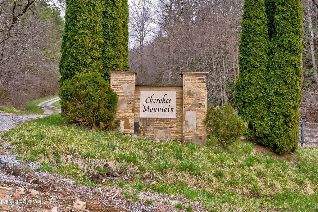 Photo of 41 Black Maple Way, Del Rio, TN 37727 (MLS # 1294179)