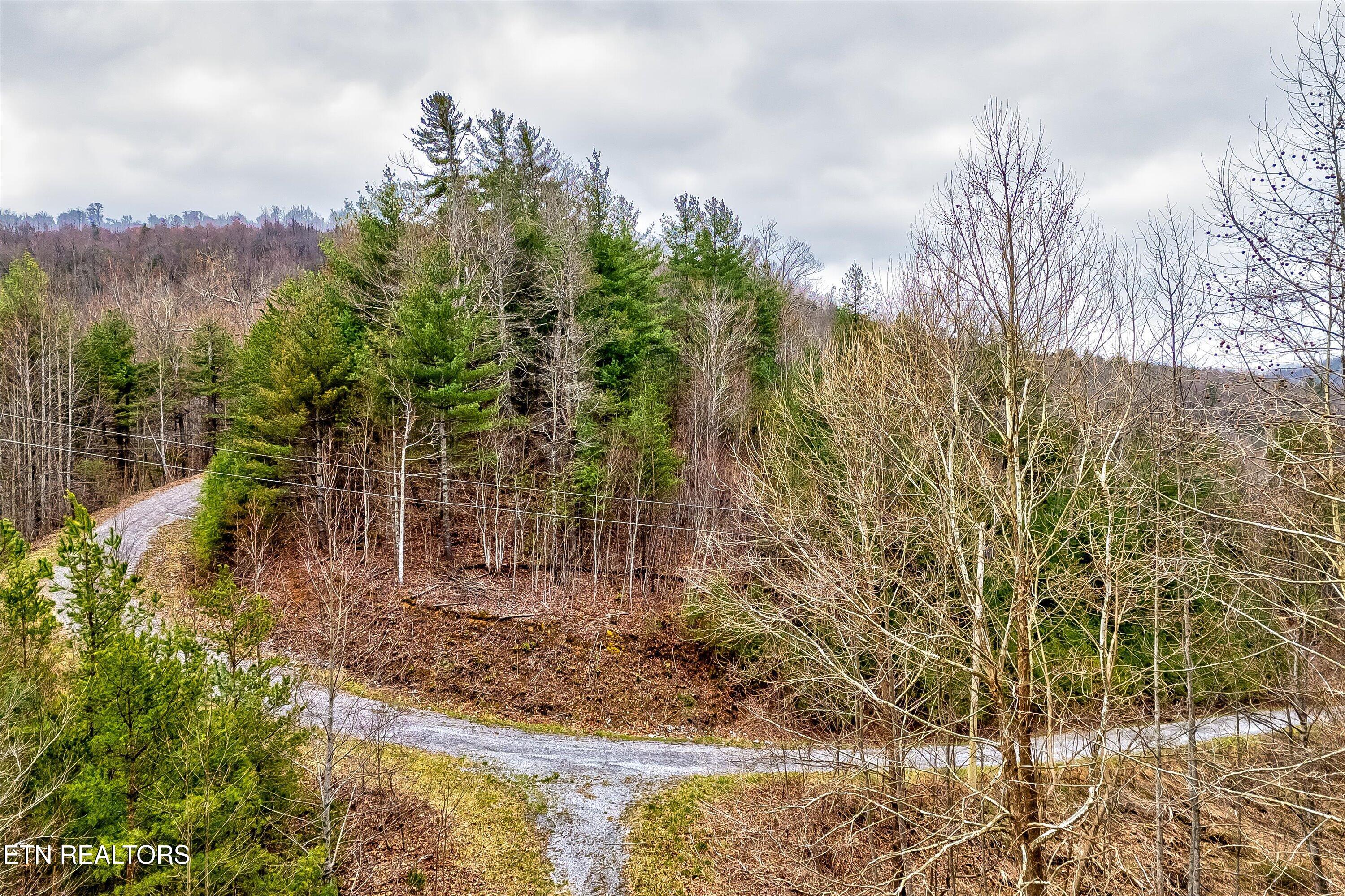 Lot 41 Black Maple Way