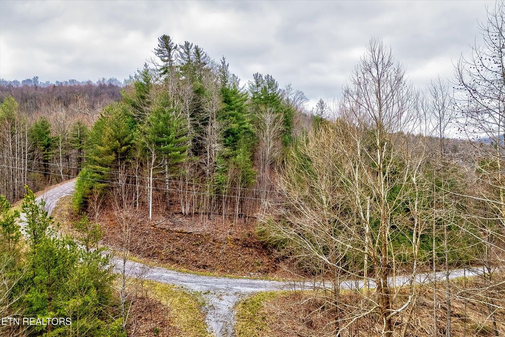 Photo of 41 Black Maple Way, Del Rio, TN 37727 (MLS # 1294179)