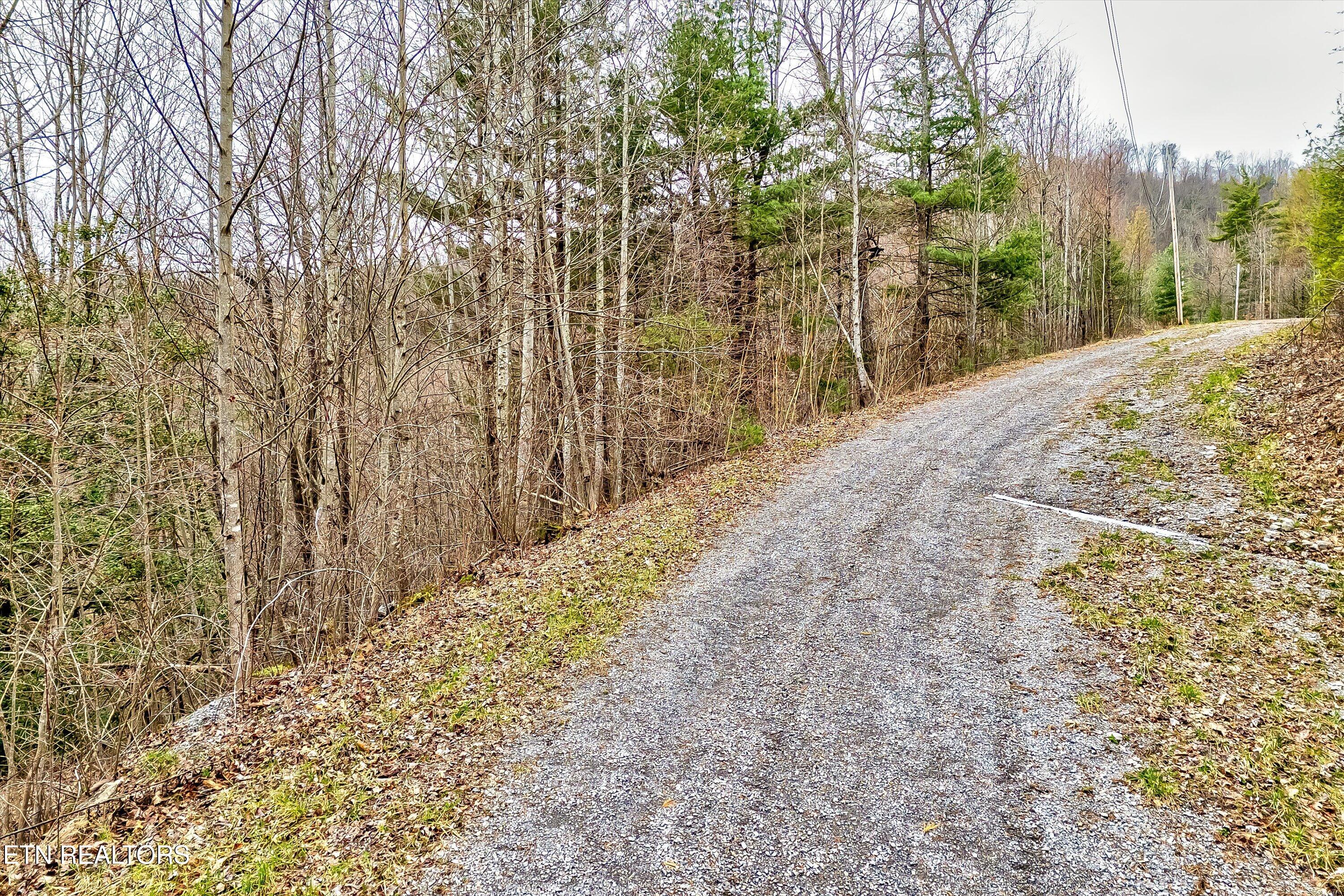 Lot 41 Black Maple Way