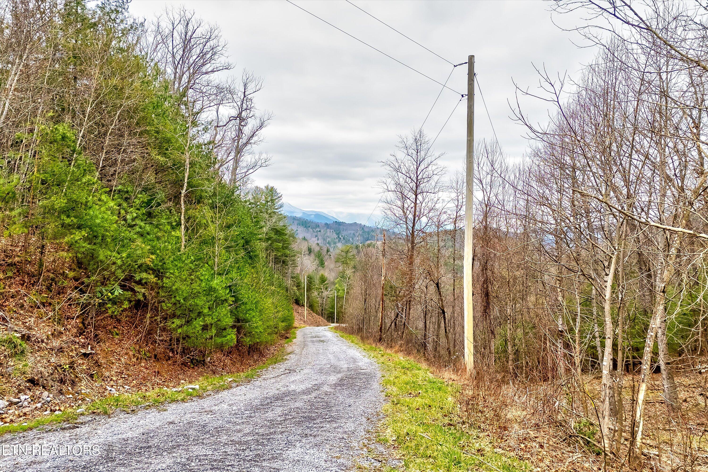 Lot 41 Black Maple Way