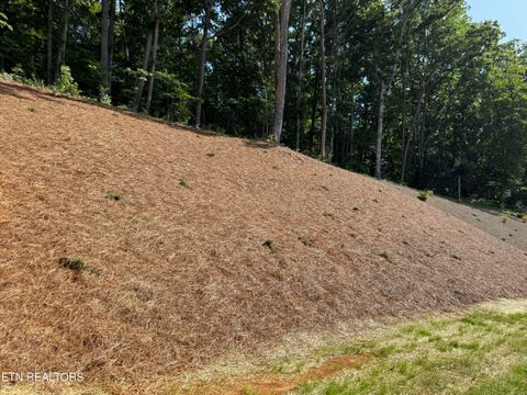 Tiny photo for 378 Signet Lane, Maynardville, TN 37807 (MLS # 1347562)