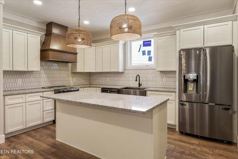 Tiny photo for 378 Signet Lane, Maynardville, TN 37807 (MLS # 1347562)