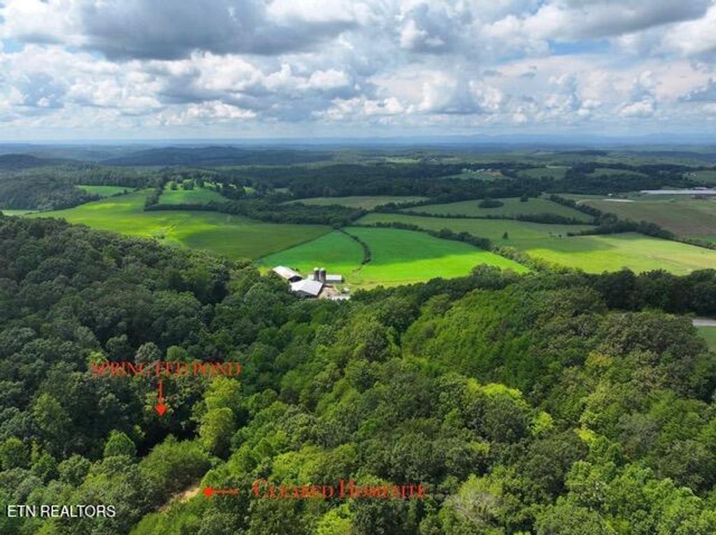 Photo of 782 County Road 279, Niota, TN 37826 (MLS # 1323527)