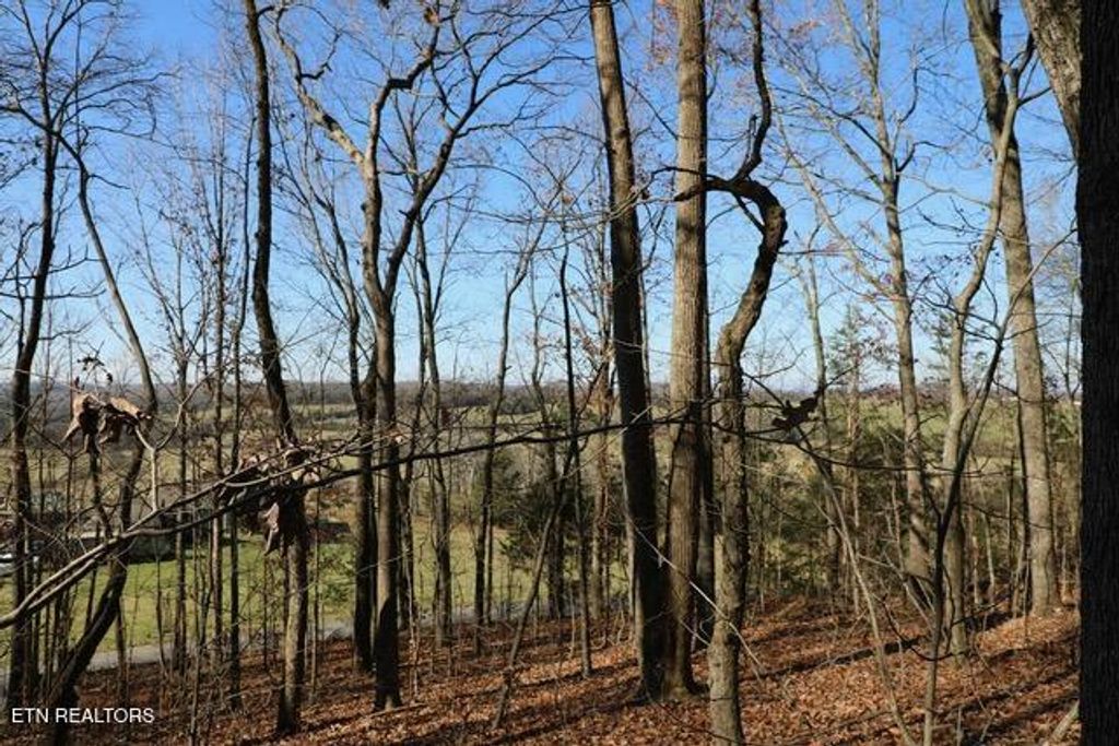 Photo of 782 County Road 279, Niota, TN 37826 (MLS # 1323527)