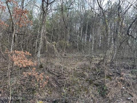 Tiny photo for 000 West Drive, Parrottsville, TN 37843 (MLS # 1329280)