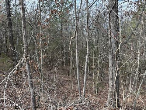 Photo of 000 West Drive, Parrottsville, TN 37843 (MLS # 1329280)
