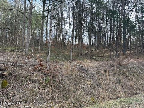 Tiny photo for 000 West Drive, Parrottsville, TN 37843 (MLS # 1329280)