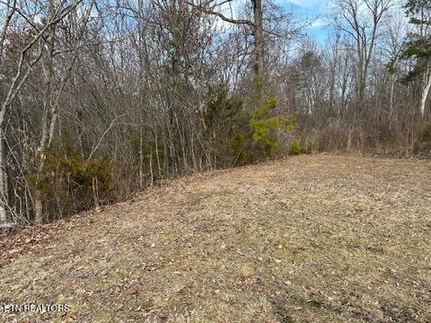 Tiny photo for 000 West Drive, Parrottsville, TN 37843 (MLS # 1329280)