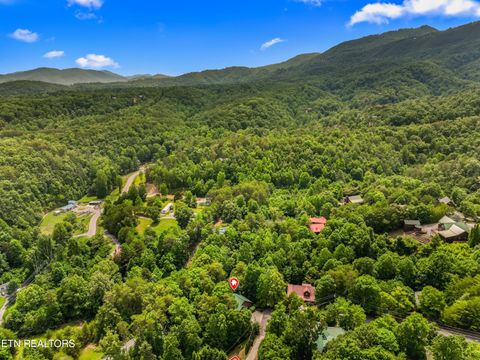 Tiny photo for 1820 Skyhawk Lane, Sevierville, TN 37876 (MLS # 1343528)