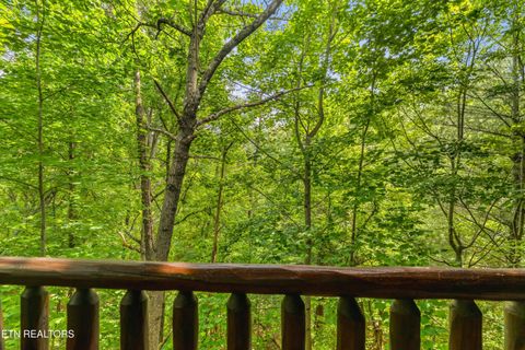 Tiny photo for 1820 Skyhawk Lane, Sevierville, TN 37876 (MLS # 1343528)