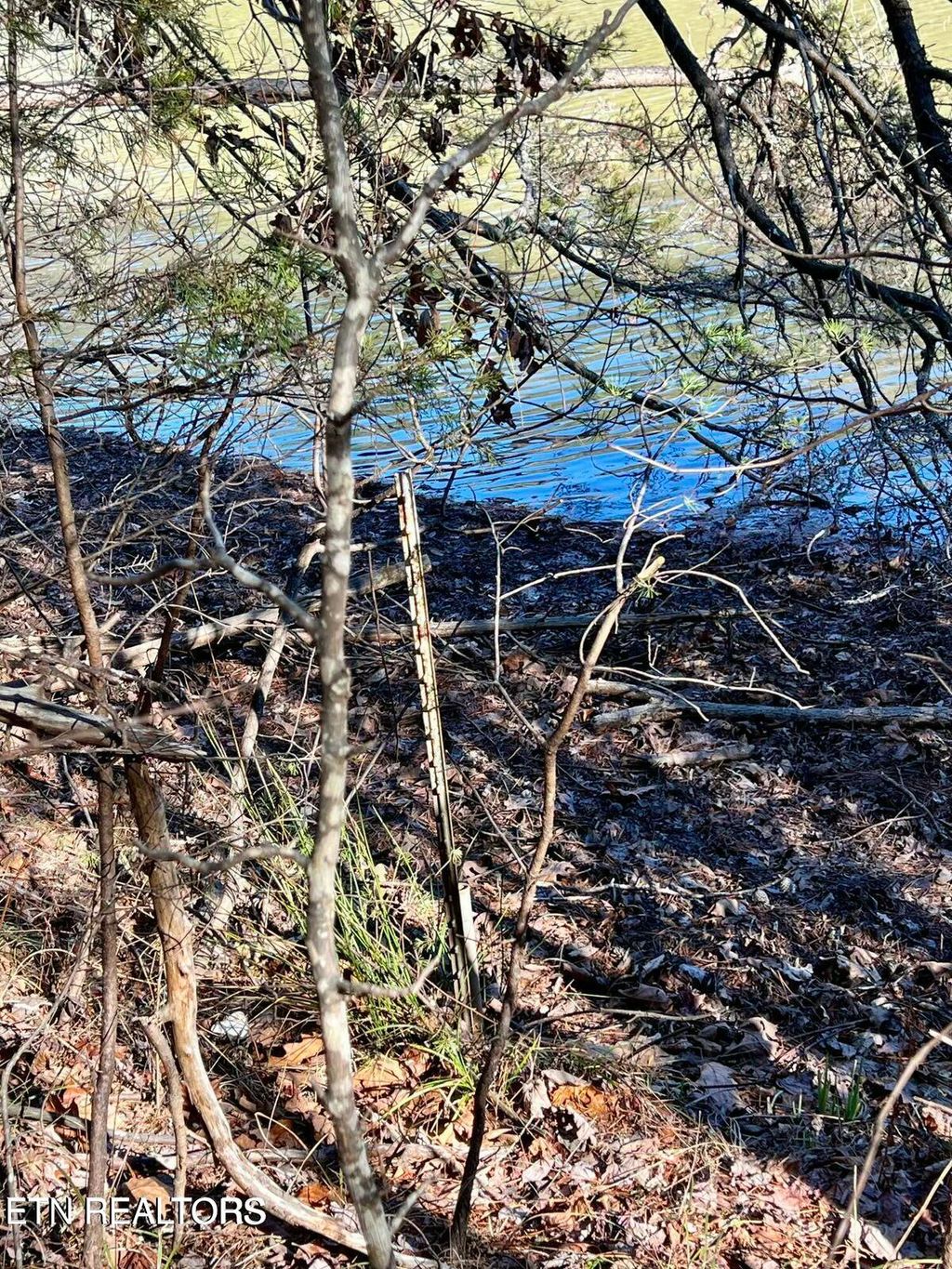 Photo of 43 Laurel Lake Circle, Madisonville, TN 37354 (MLS # 1293041)