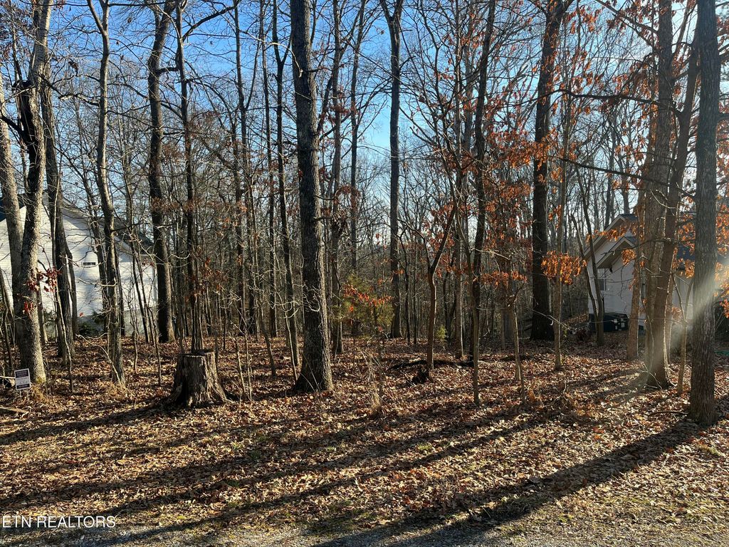 Photo of 221 Ootsima Way, Loudon, TN 37774 (MLS # 1324760)