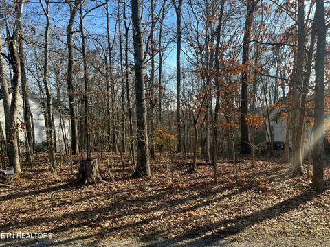 Photo of 221 Ootsima Way, Loudon, TN 37774 (MLS # 1324760)