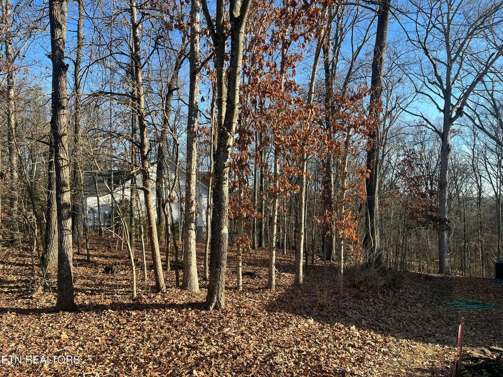 Photo of 221 Ootsima Way, Loudon, TN 37774 (MLS # 1324760)