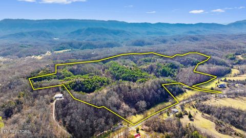 Wye Drive Seymour TN 37865